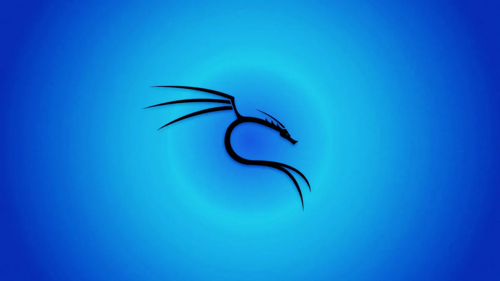 Kali Linux update failures