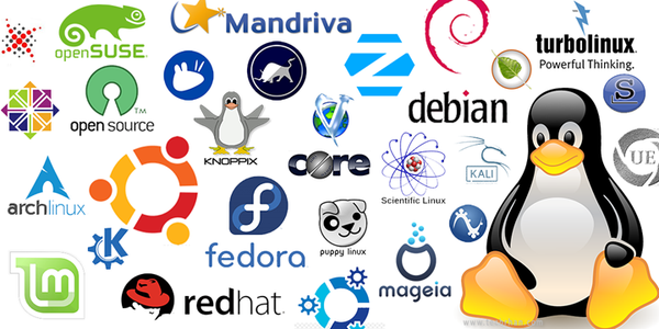 Linus Torvalds Grows Frustrated