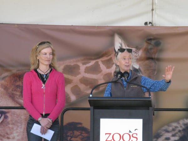 Jane Goodall - RIP